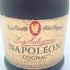 サリニャック ナポレオン 700ml 40% Salignac NAPOLEON 【G】