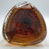 グレンフィディック 18年 アワースモールバッチ 700ml 40% Glenfiddich Our Small Batch スコッチウイスキー【O4】