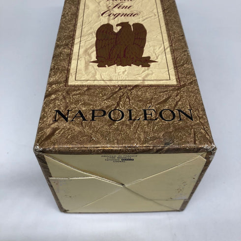 サリニャック ナポレオン 700ml 40% Salignac NAPOLEON コニャック【E1】