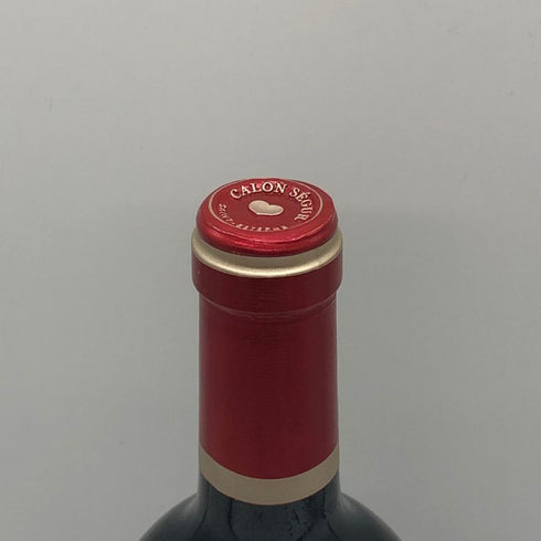 ル マルキ ド カロン セギュール 2020 750ml 14.5% Le Marquis de Calon Segur ボルドーワイン【S2】
