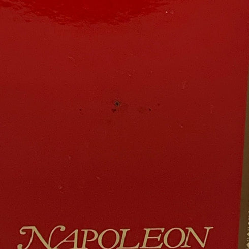 レミーマルタン ナポレオン ファインシャンパーニュ 700ml 40% REMY MARTIN NAPOLEON FINE CHANPAGNE コニャック【X1】