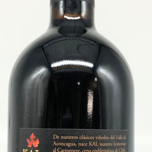 エラスリス カイ カルメネール 2019 13.5% 750ml ERRAZURIZ 赤ワイン【L2】