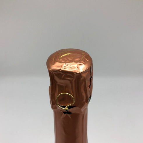 エグリ ウーリエ ブリュット ロゼ グランクリュ 2023 750ml 12.5% EGLY OURIET ロゼワイン【W1】