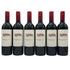 チリンギート コヴェ カベルネ ソーヴィニヨン 2023 750ml 13% Chiringuito Cove Cabernet Sauvignon 6本セット 赤ワイン【20】