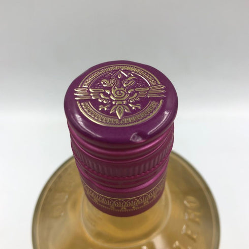コカレロ VIDA ヴィーダ 700ml 22% COCALERO リキュール【F2】