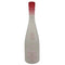 新政 No.6 X-type 720ml 2023年3月 日本酒- 純米酒【V4】