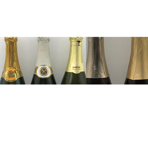 ジャパンシャンパン 【6本セット】 12% 750ml シャンパン【20】