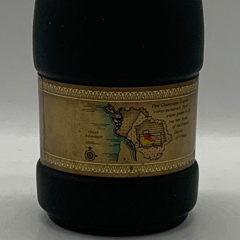 レミーマルタン セントー ナポレオン 700ml 40% REMY MARTIN CENTAURE NAPOLEON コニャック【C4】