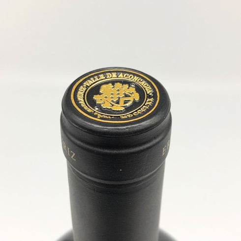 エラスリス カイ カルメネール 2019 13.5% 750ml ERRAZURIZ 赤ワイン【L2】