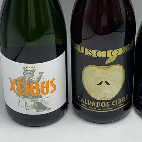 シャンパン 【4本セット】 XENIUS 750ml 12% LUSCIOUS 750ml 7.5% Freixenet 750ml 12% FILIPETTI 750ml 11% シャンパン【7-0】