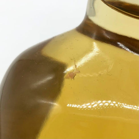 東京都限定◆サントリー 知多 シングルグレーン 700ml 43% SUNTORY CHITA 【Z1】