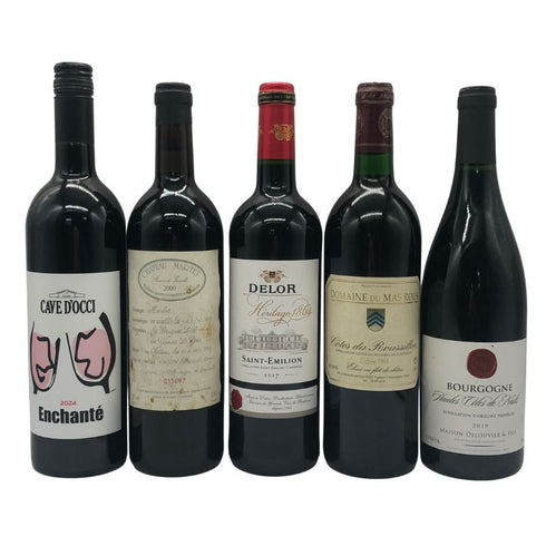 赤ワイン まとめ【5本セット】 DOMAINE DU MAS ROUS 750ml 13% MAISON DELOUVIER&FILS 750ml 13% CHATEAU MARTET 750ml 12.5% CAVE D`OCCI 750ml 12% DELOR 750ml 13.5% 赤ワイン【7-0】