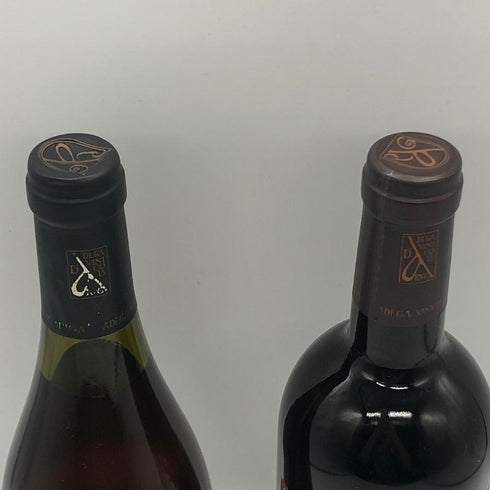 アルガブランカピッパ ×アルガーノクラン 2本セット 12.5% 750ml シャンパン【P4】