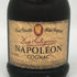 サリニャック ナポレオン 700ml 40% Salignac NAPOLEON コニャック【E1】