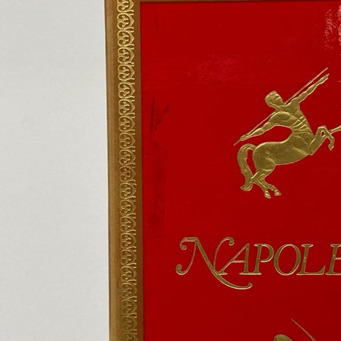 レミーマルタン ナポレオン ファインシャンパーニュ 700ml 40% REMY MARTIN NAPOLEON FINE CHANPAGNE コニャック【B2】
