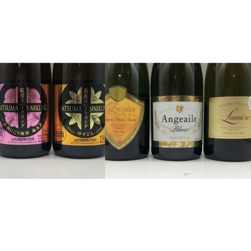 ジャパンシャンパン 【6本セット】 12% 750ml シャンパン【20】