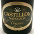 カスティヨン ナポレオン 700ml 40% CASTILLON NAPOLEON コニャック【U0】