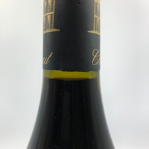 シャトー プシェ オー テート ド ペリエ 2013 750ml 15.5% Chateau Puech Haut フランスワイン【A3】