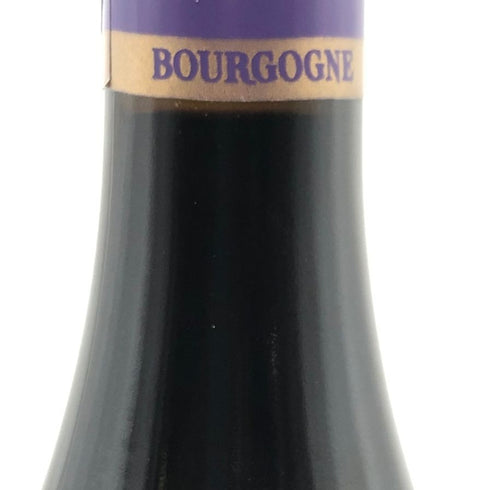 フレデリック マニャン ブルゴーニュ コート ドール ピノノワール 2020 13% 750ml Frederic Magnien ブルゴーニュワイン【C3】