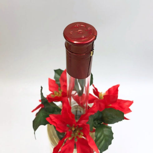 オードヴィー コンチェルト アップル ビルベリー フルーツブランデー リキュール 440ml/60ml 36度/20度 EAU de VIE CONCERTO リキュール【K1】