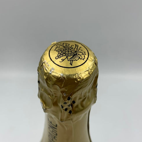 ポール ダンジャン エ フィス ブリュット ダンジャン フェイ 12% 750ml PAUL DANGIN シャンパン【R1】