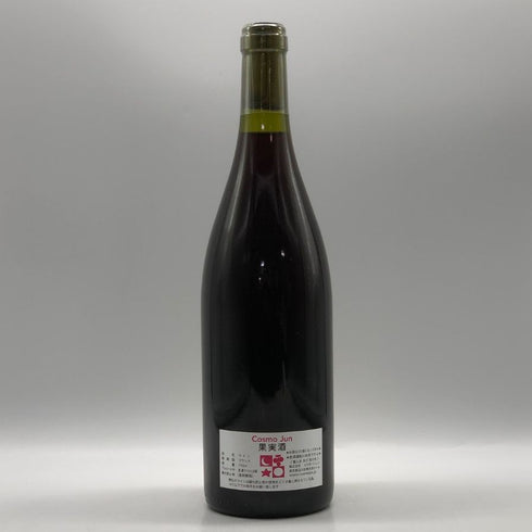 ドメーヌ ド シャソルネイ ニュイ サン ジョルジュ プルミエ クリュ クロ デ ザルジリエール 2007 750ml 13.5% Domaine de Chassorney Nuits-Saint-Georges 1er Cru Clos des Argillières ブルゴーニュワイン【X0】