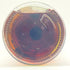 ワイルドターキー 12年 101プルーフ ビヨンドデュプリケーション 750ml 50.5% WILD TURKEY 12 y.o 101 Proof Beyond Duplication 【SKU】