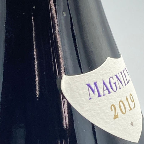 フレデリック マニャン ジュヴレ シャンベルタン 2019 750ml 13% FREDREIC MAGNIEN GEVREY CHAMBERTIN【L2】