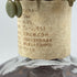 ブラントン シングルバレル 8-4-92 1992年 750ml 46.5% Blanton's SINGLE BARREL BOURBON 【JJ】