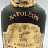 ヘネシー ナポレオン ブラスドール 350ml 40% Hennessy NAPOLEON BRAS D'OR 【J1】