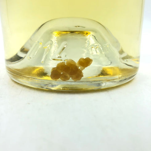 パヴィヨン ブラン デュ シャトー マルゴー 2014 750ml 14% PAVILLON BLANC DU CHATEAU MARGAUX 【M4】