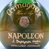 デュペイロン ナポレオン アルマニャック 700ml 40% J.DUPEYRON NAPOLEON Armagnac【W4】